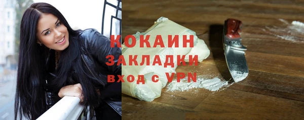 твердый Абаза
