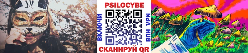 магазин продажи наркотиков  Туринск  Псилоцибиновые грибы Psilocybe 